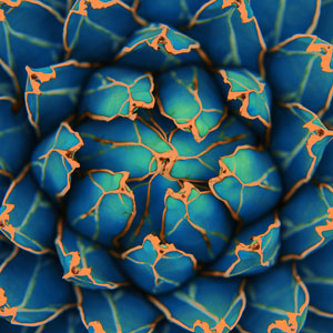 Bright blue succulent plant