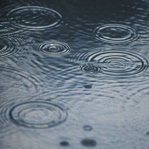 Rain falling in a puddle