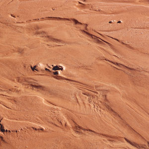 red sand with water