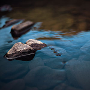 Calm water in a river