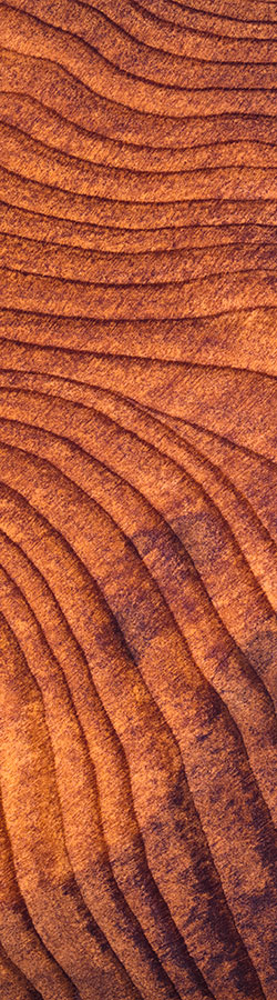 Redwood wood texture