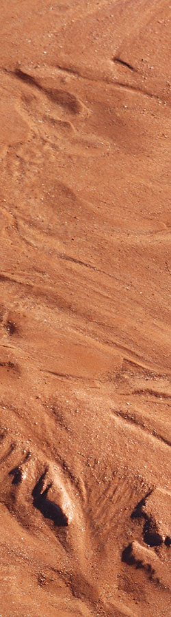 Red sand texture