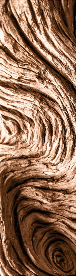weathered driftwood texture
