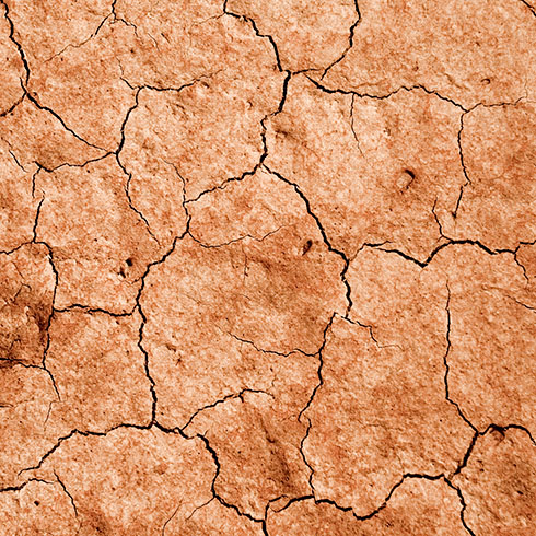 dry, cracked dirt