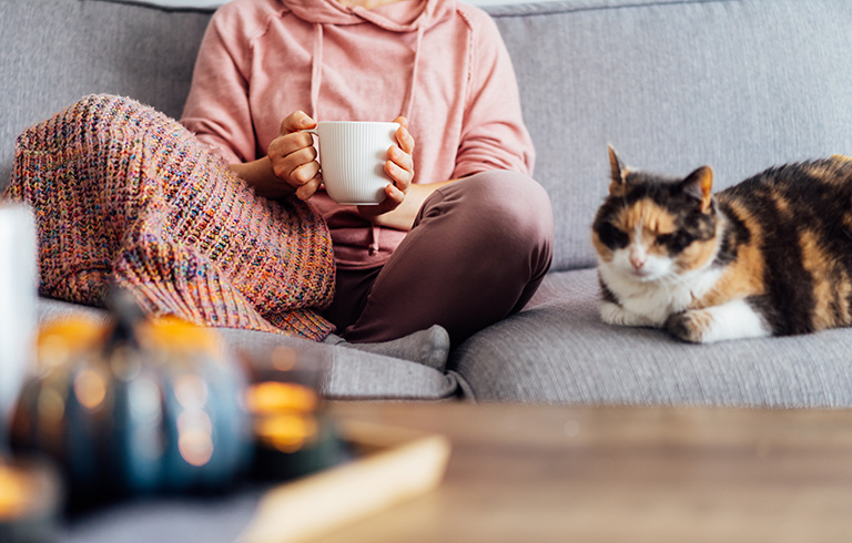 cat laying on the couch with its owner