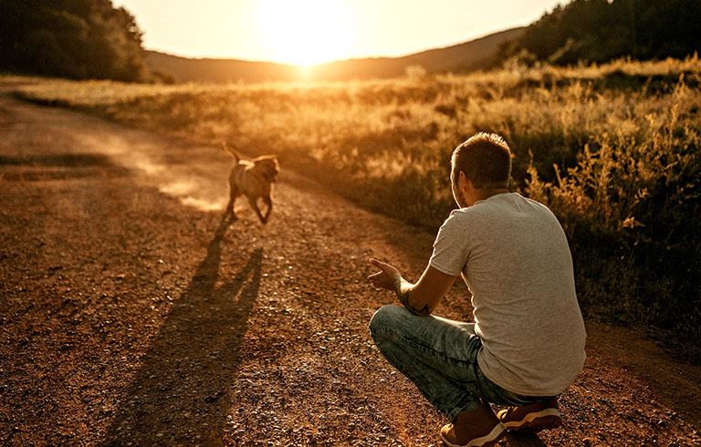 dog running towards its owner outside