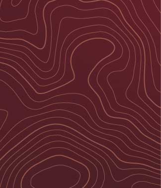 topographical map texture