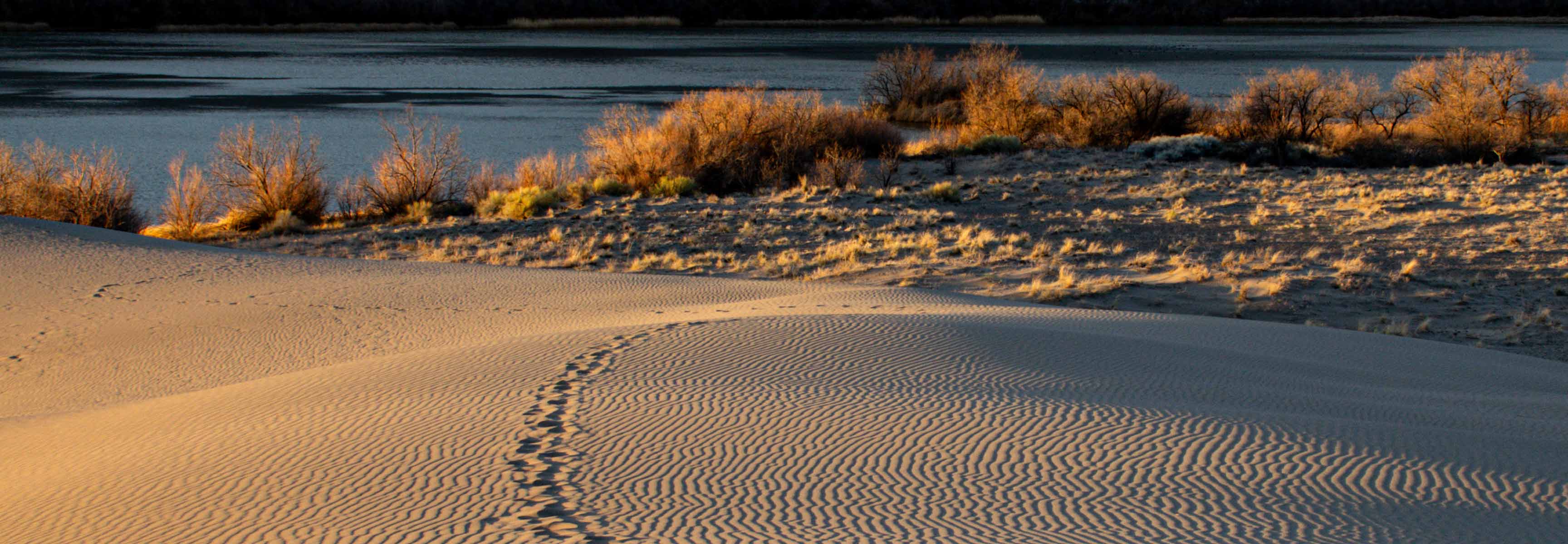 Saint Anthony Sand Dunes