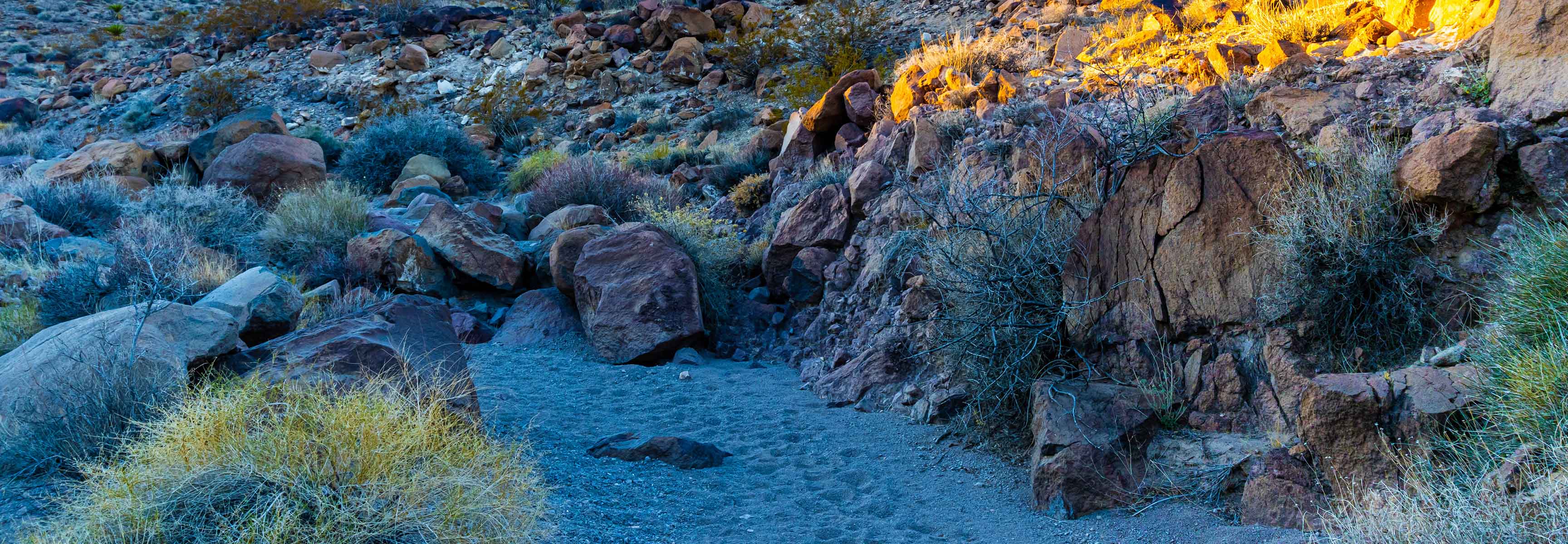 Trailhead in Henderson, Nevada