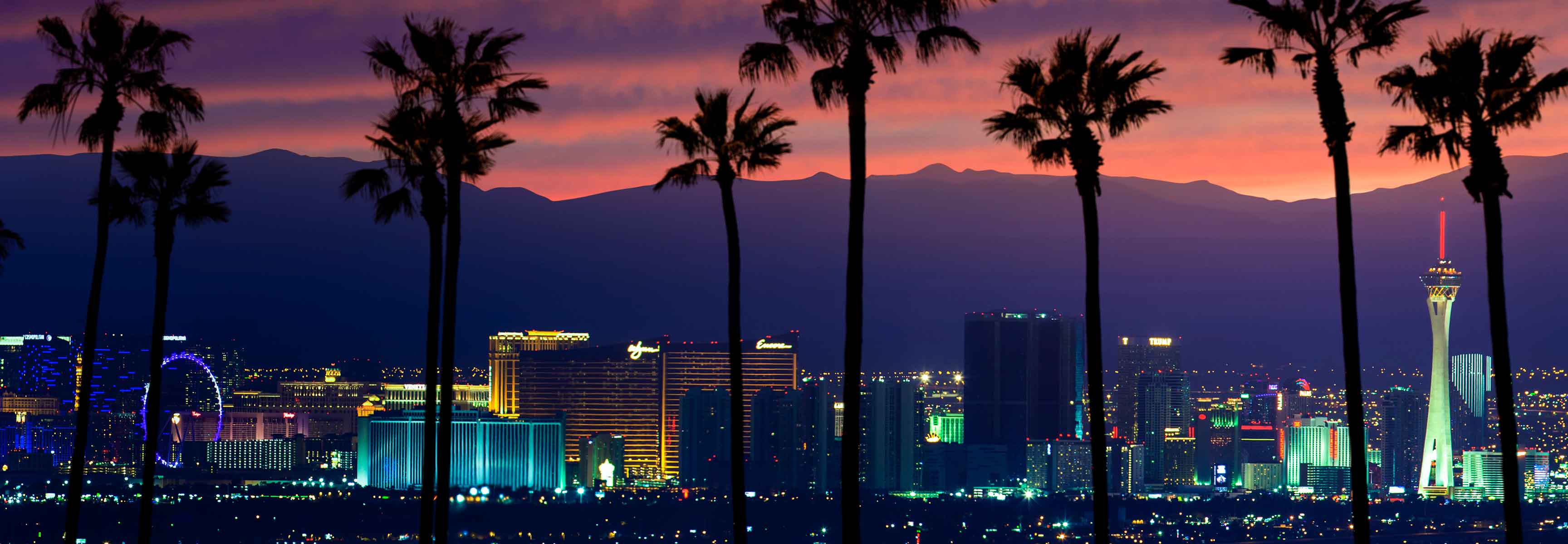 Las Vegas palm trees at sunset