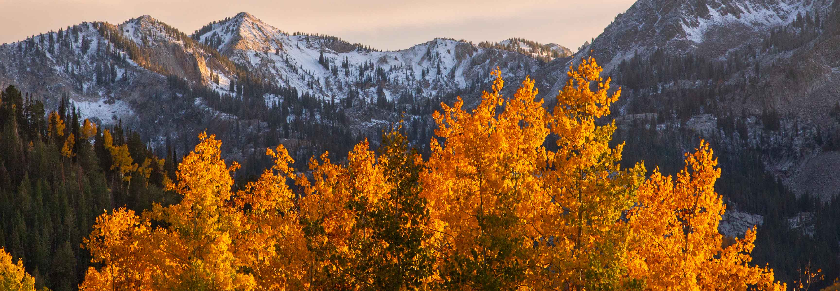 Big Cottonwood Canyon