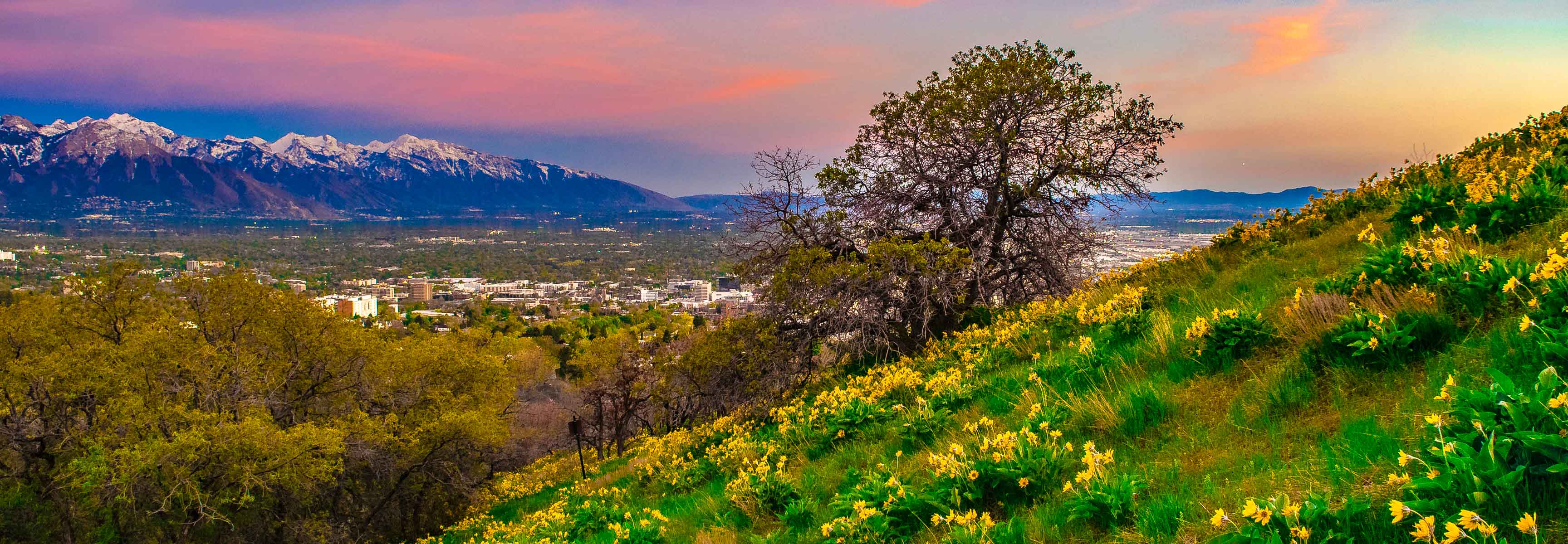 Salt Lake City from West side