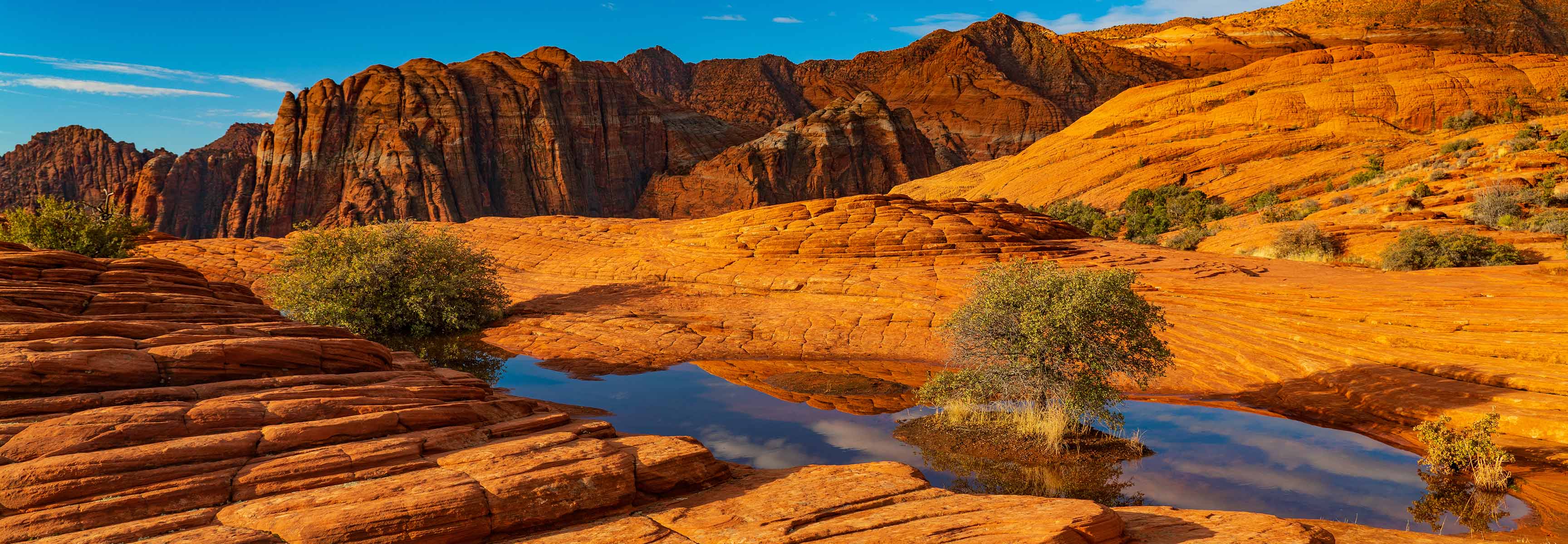 Red rock scenery in Snow Canyon