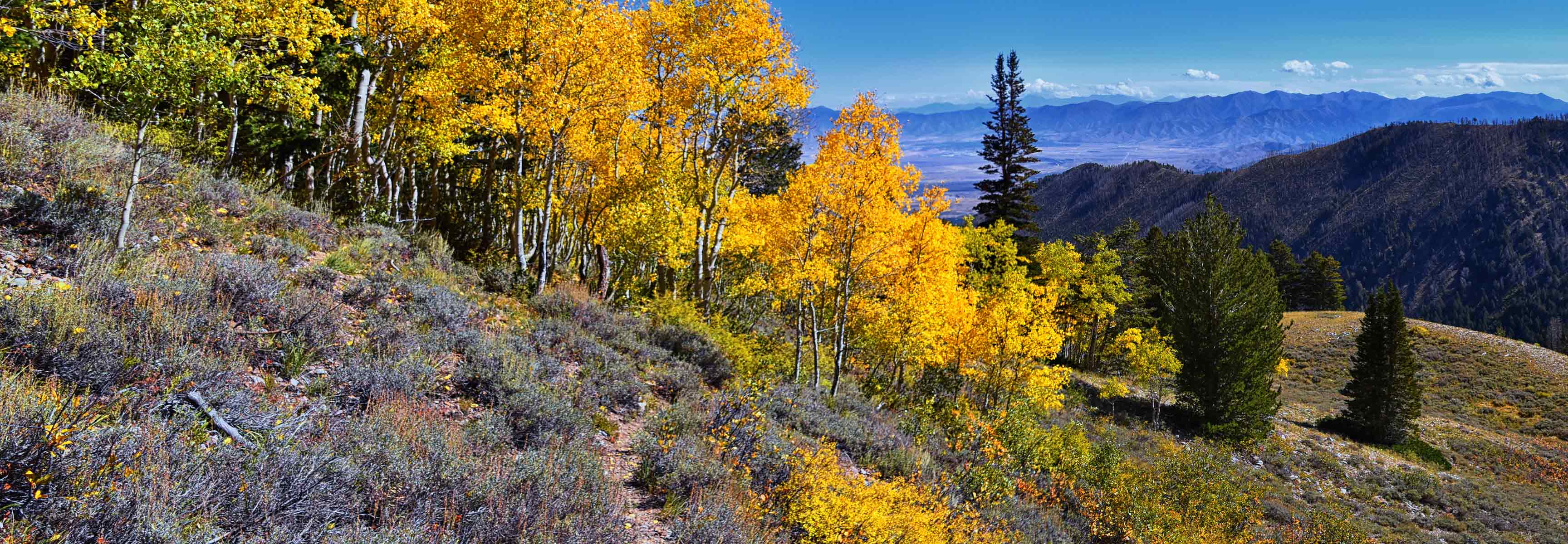 View from the top of the Oquirrh mountains