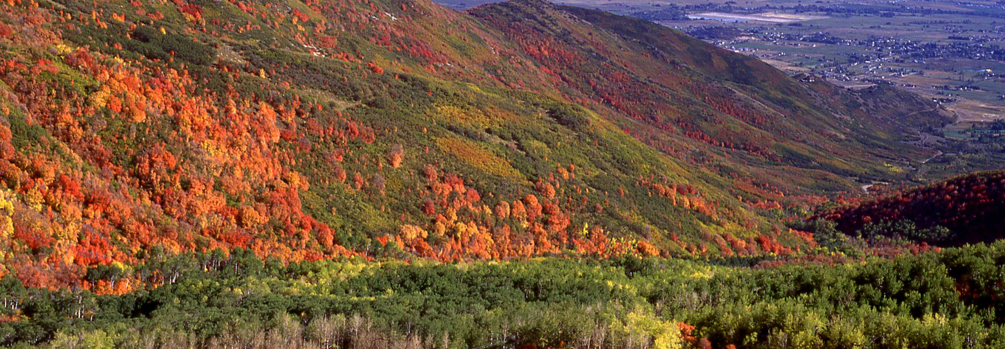 Cache Valley in the fall
