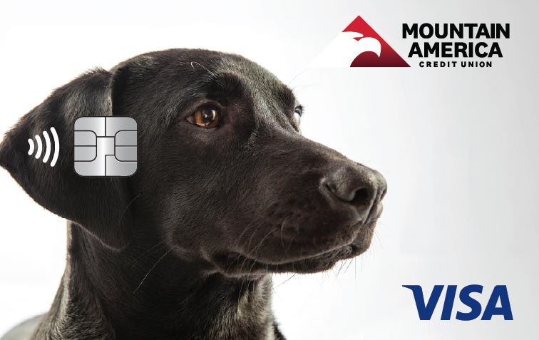 Credit card with black lab dog design