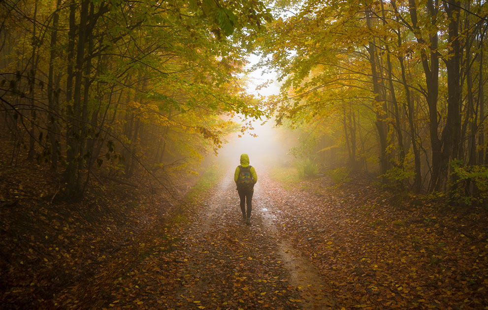 Person walking down a road covered in fall leaves