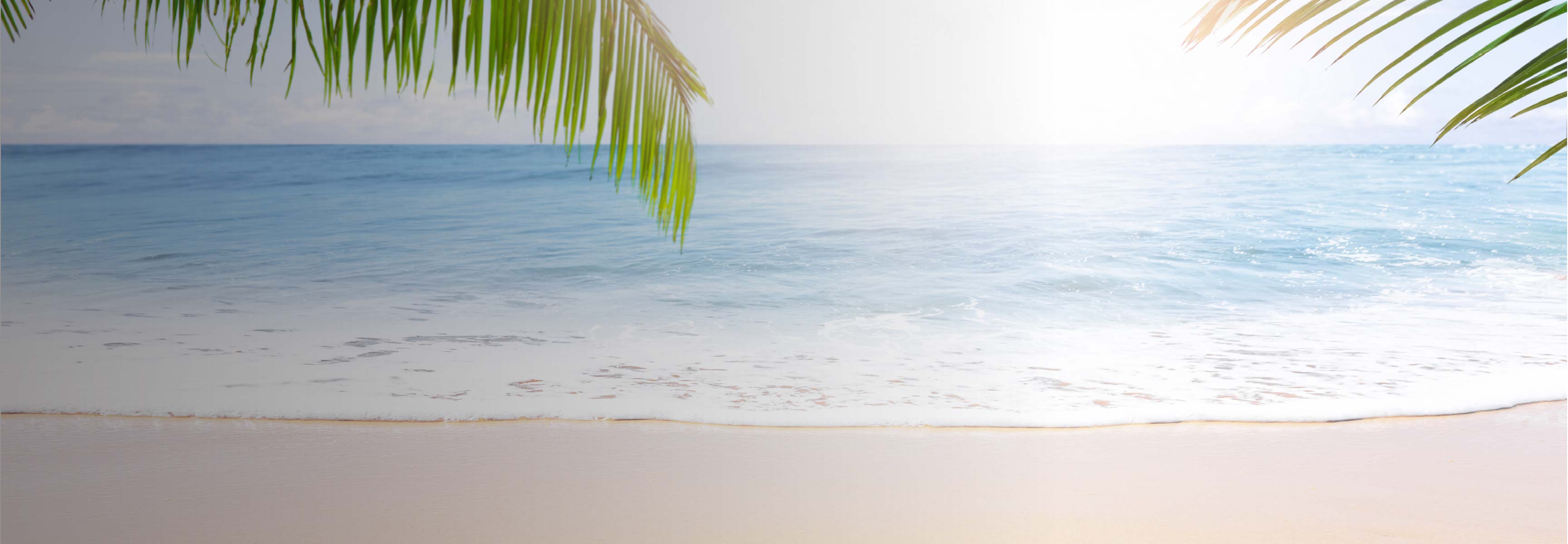 Sandy beach with palm trees