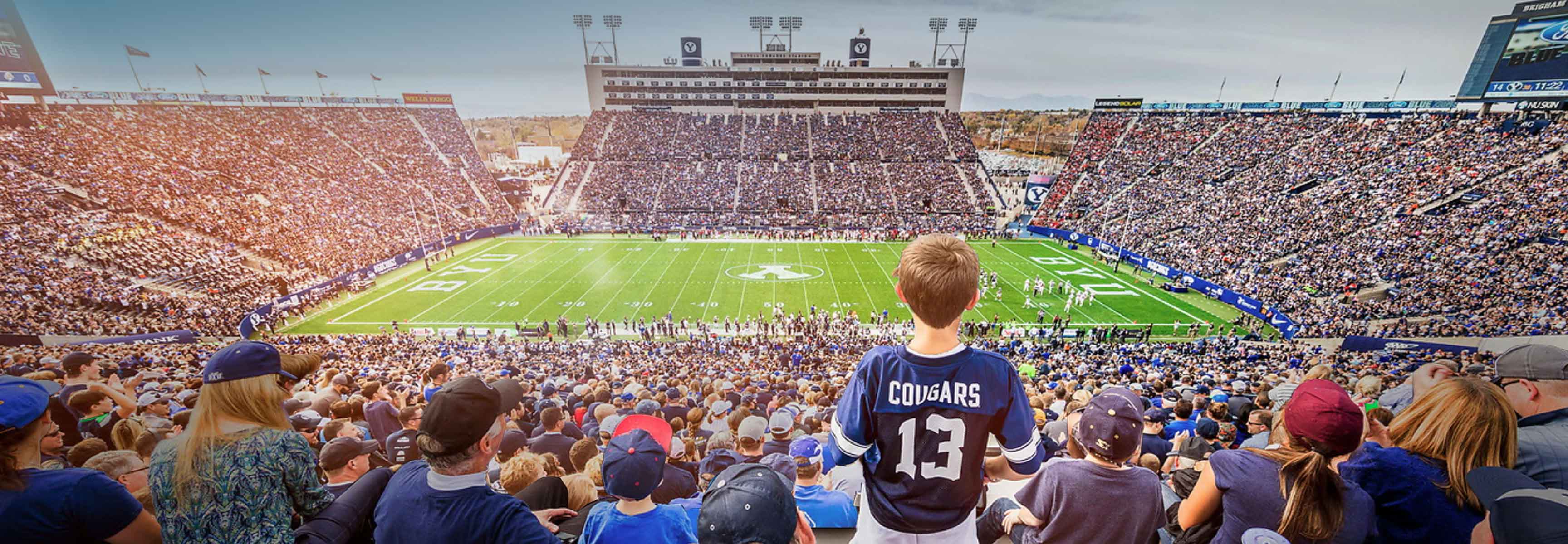 Crowd in a football stadium