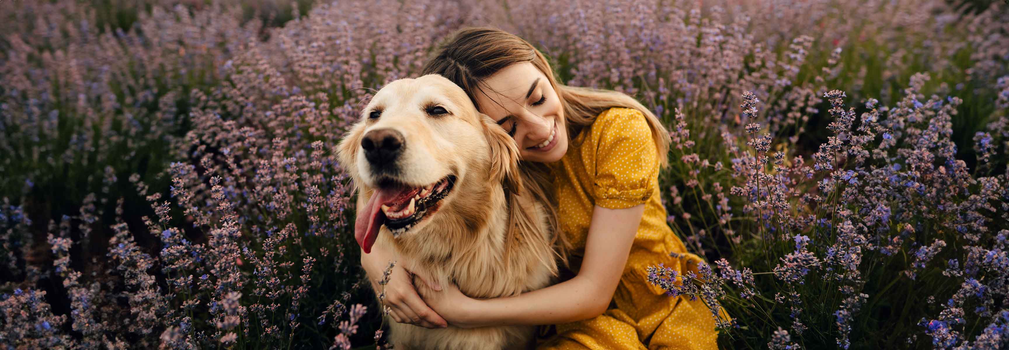 woman with her dog in a field of lavender
