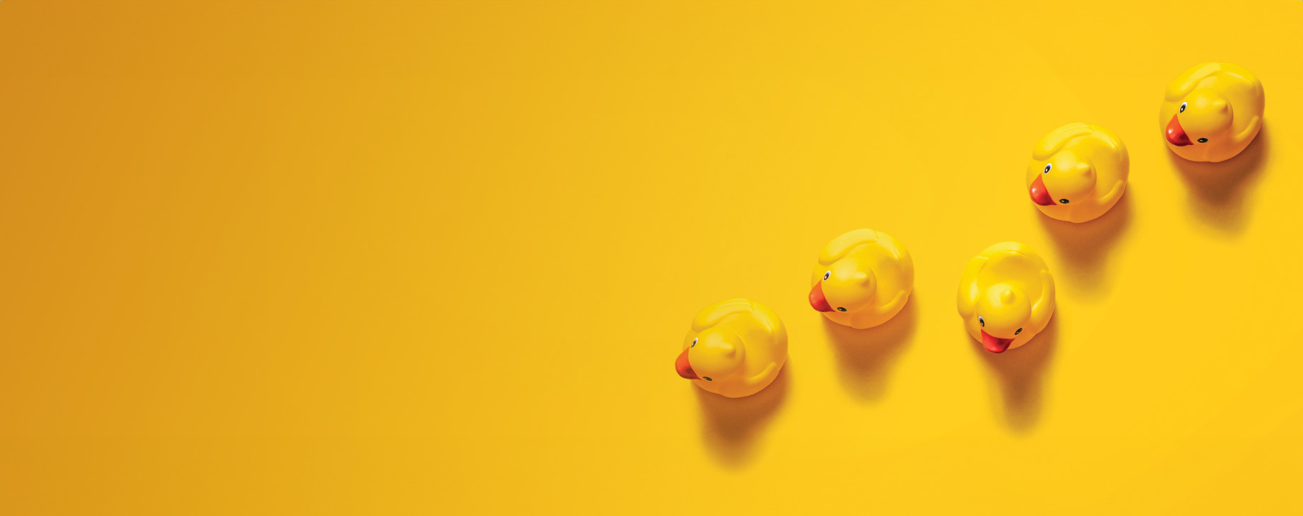 rubber ducks