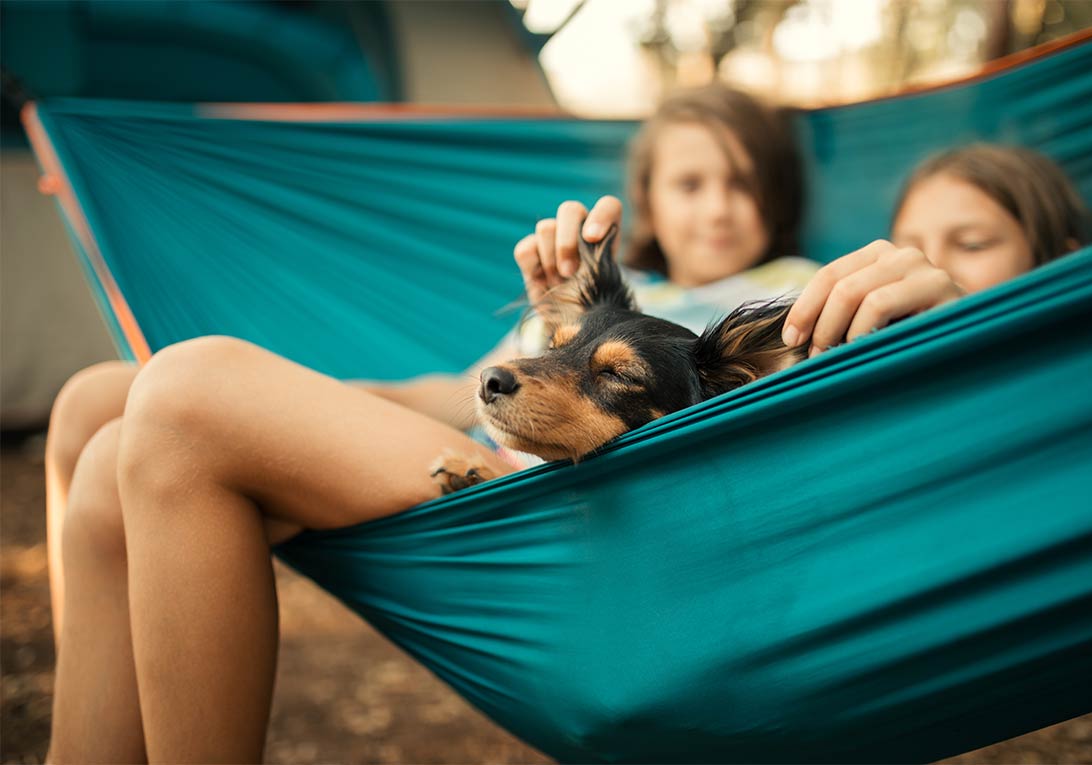 kids swinging in a hammock