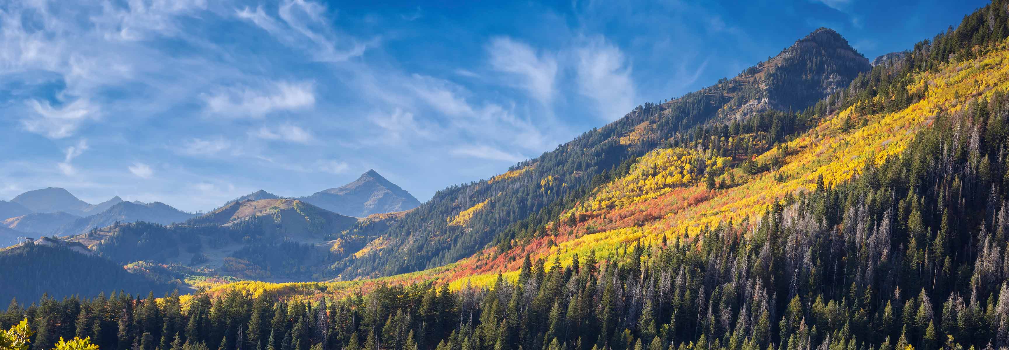 Autumn scenery in Little Cottonwood Canyon