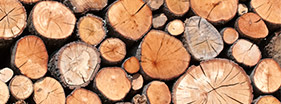 cut logs