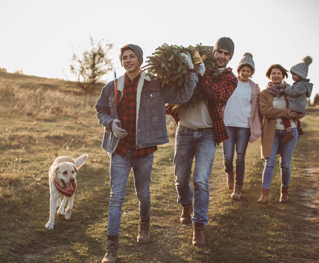 family carrying christmas tree