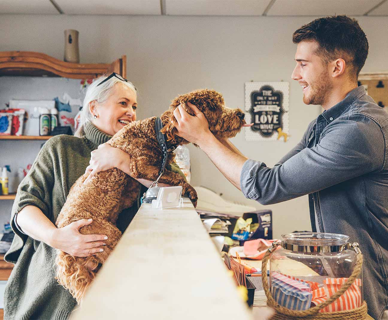 Dog at veterinarian