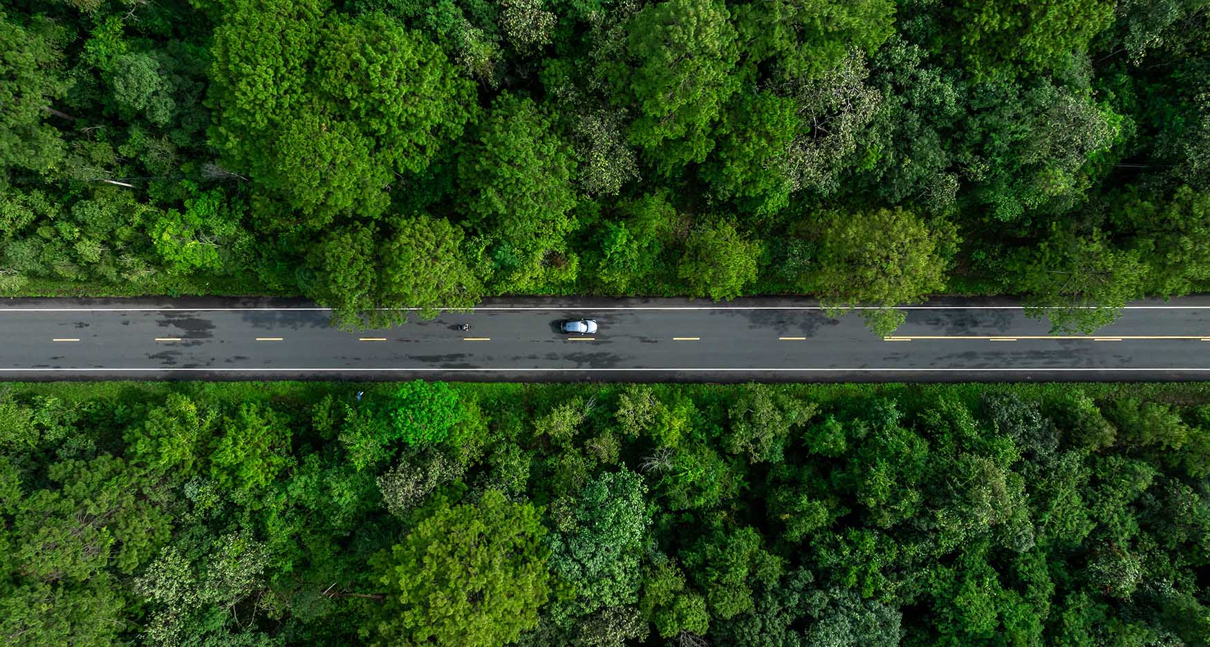 aerial view of a car driving through a forest