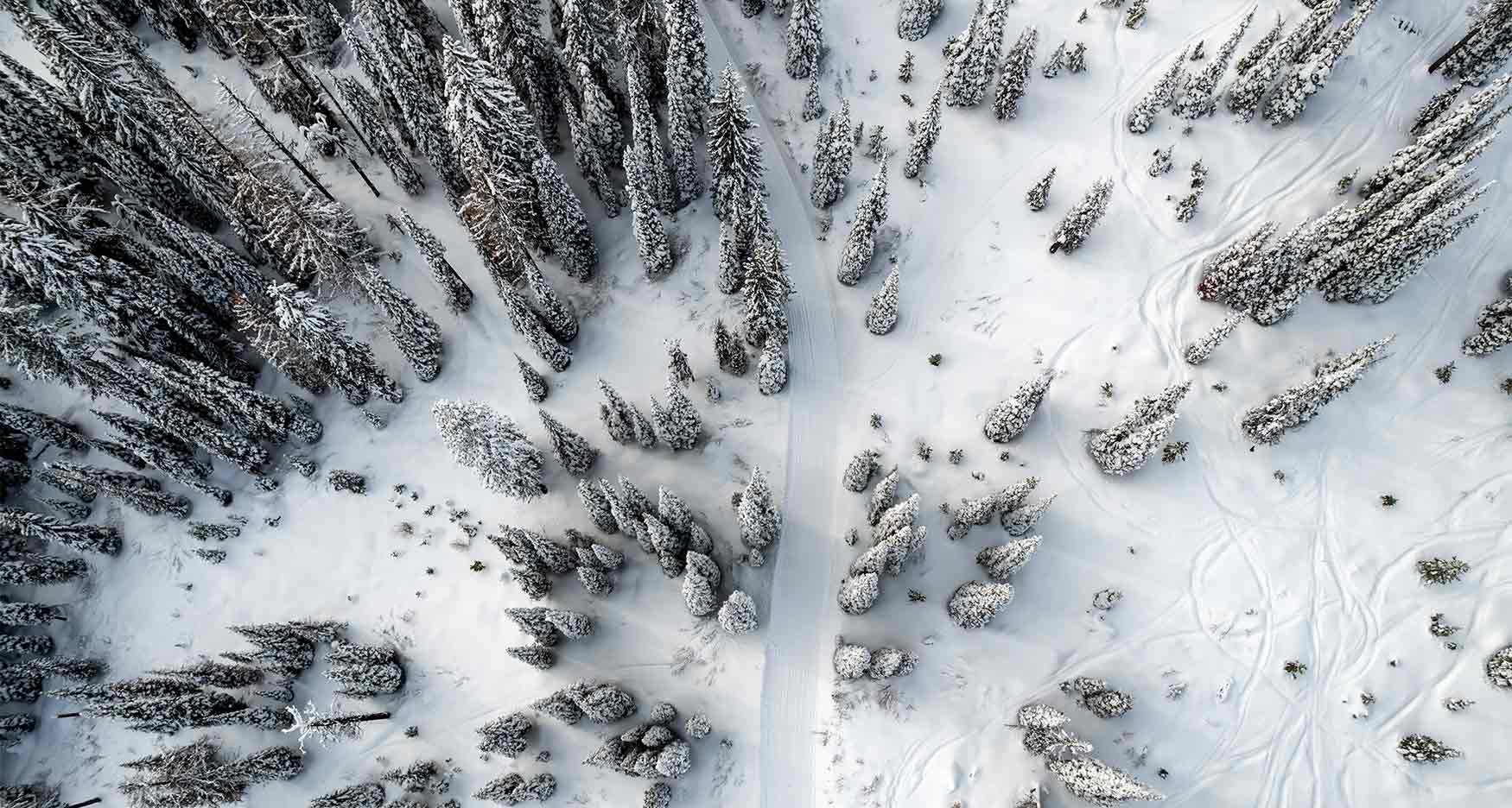 aerial view of a snowy forest