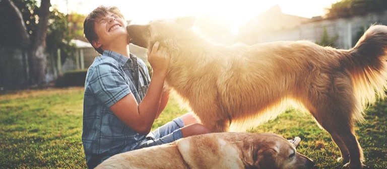 Boy with two dogs
