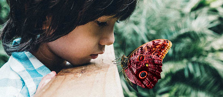 kid looking at a butterfly