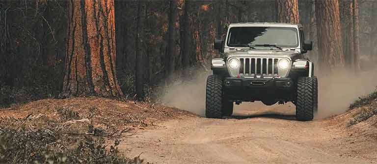 Jeep driving through forest