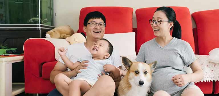 Couple relaxing with child and dog