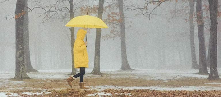 Person with umbrella in a rainy forest