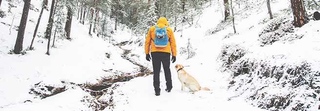 man hiking with dog in snow
